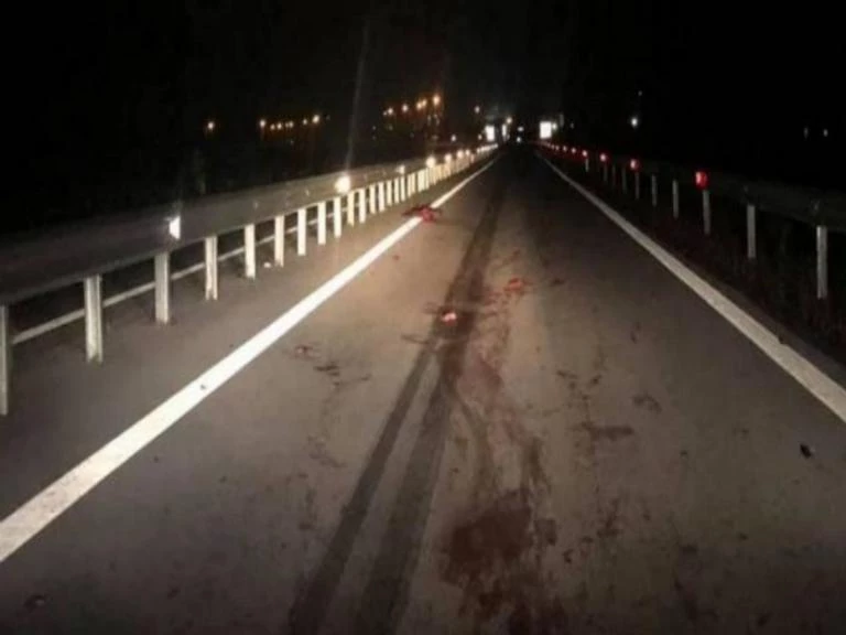 Εικόνες από θρίλερ! Τροχαίο με αγριογούρουνα στην Φθιώτιδα – Προσοχή, σκληρές εικόνες